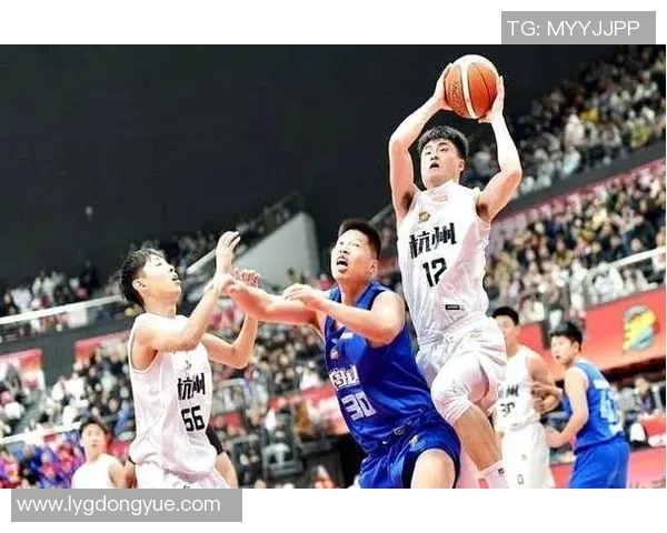 杭州乒乓球队速度之争引发热议球迷与专家观点碰撞激烈